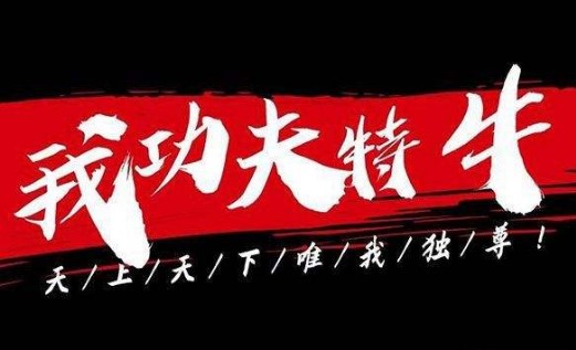 我功夫特牛秘籍攻略：新手秘籍選擇推薦