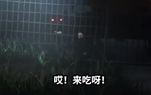紙魚解說遠(yuǎn)離游戲手機(jī)版截圖1