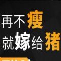 再不瘦就嫁給豬橙光游戲最新版