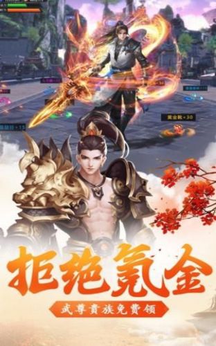 天地封魔錄手機(jī)游戲安卓版截圖2