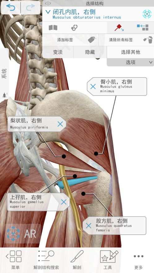 2021人体解剖学图谱APP最新安卓中文版截图4: