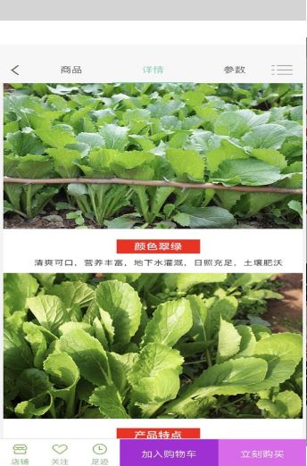 馬上買菜APP安卓版截圖2