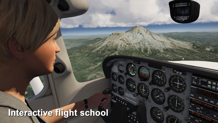 Aerofly FS 2020安卓最新版截圖3