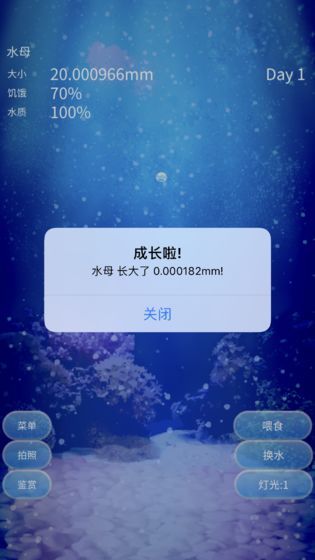 撲家養(yǎng)育水母的治愈游戲手機(jī)版截圖1