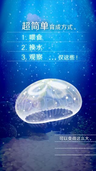 撲家養(yǎng)育水母的治愈游戲手機(jī)版截圖3