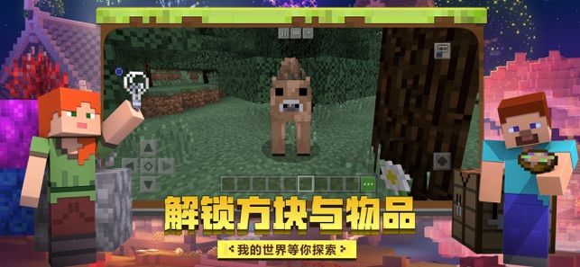 我的世界共研服2020新版本內(nèi)測版截圖3