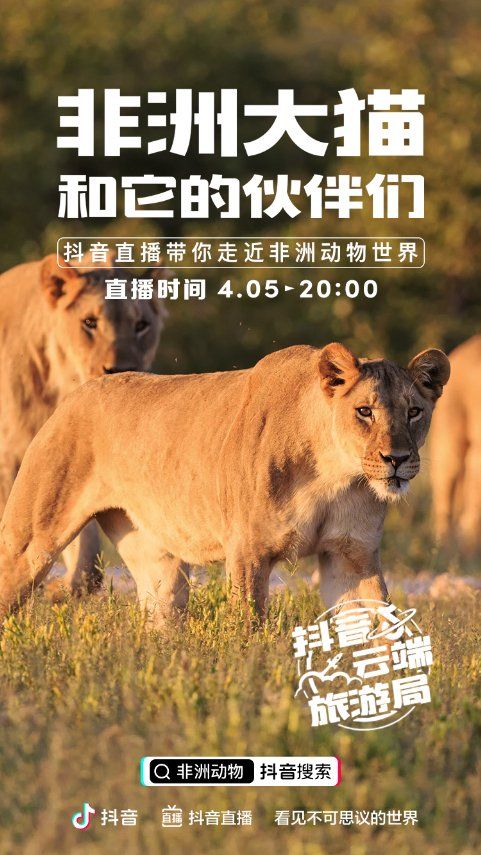 抖音云端旅游局APP平臺(tái)截圖3