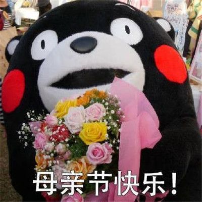 2020抖音母親節(jié)文案朋友圈大全APP完整版截圖2