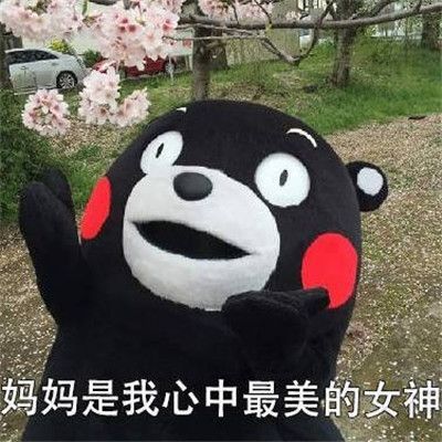 2020抖音母親節(jié)文案朋友圈大全APP完整版截圖5
