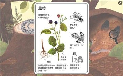 小松鼠的生活游戲版截圖1