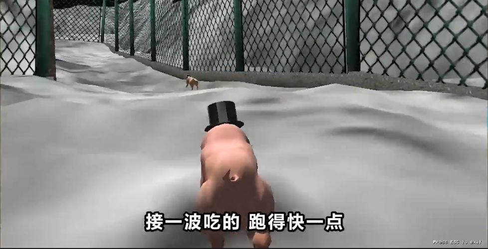屌德斯解說(shuō)奇怪動(dòng)物競(jìng)速手機(jī)版游戲截圖3