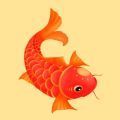 紅魚轉(zhuǎn)分紅版app下載