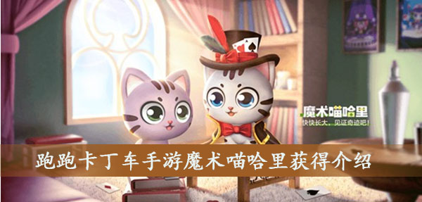 跑跑卡丁車手游魔術(shù)貓怎么樣？魔術(shù)貓哈里技能展示獲得方法一覽