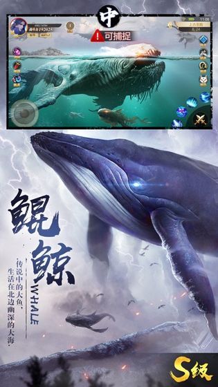 青云傳之大荒吞噬錄正版手游截圖3