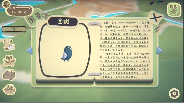 鳥之森游戲領紅包福利版截圖3