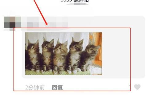 抖音五只貓點(diǎn)頭表情包怎么發(fā)？5只貓搖頭評(píng)論發(fā)送方法