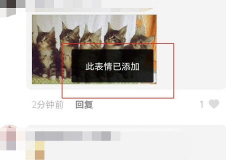 抖音五只貓搖頭表情包動(dòng)圖 五只貓點(diǎn)頭表情包怎么發(fā)