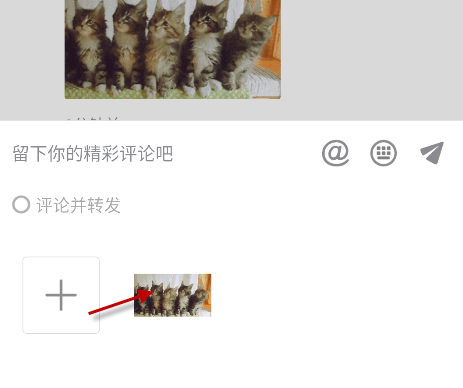 抖音五只貓搖頭表情包動圖 五只貓點頭表情包怎么發(fā)