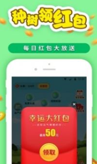 星宸種樹app紅包版截圖1