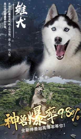 山海飛仙正版手游截圖4