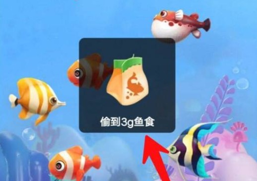 多多魚(yú)塘不買東西能完成嗎？每日魚(yú)食計(jì)算及能否成功分析