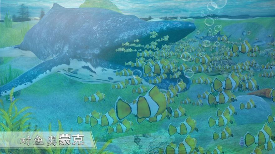 全民養(yǎng)鯨魚分紅是真的嗎？分紅方法介紹
