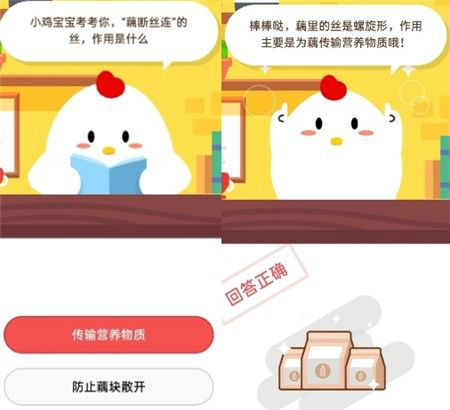螞蟻莊園7月17日今日答案是什么？藕斷絲連的絲作用答案詳解