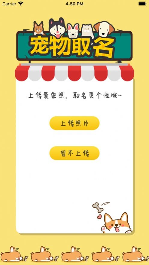 寵物取名APP手機(jī)版截圖2