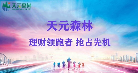 天元森林投資APP版截圖1