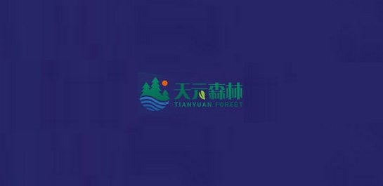 天元森林投資APP版截圖2