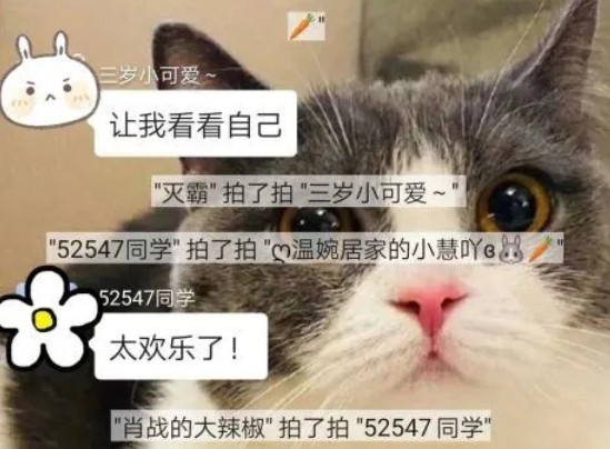 微信拍了拍怎么修改文字？微信拍一拍可愛又搞笑的后綴句子大全