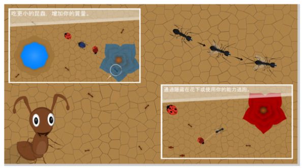 螞蟻進(jìn)化世界游戲版截圖2