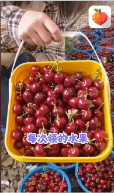 天南果園送水果app截圖1
