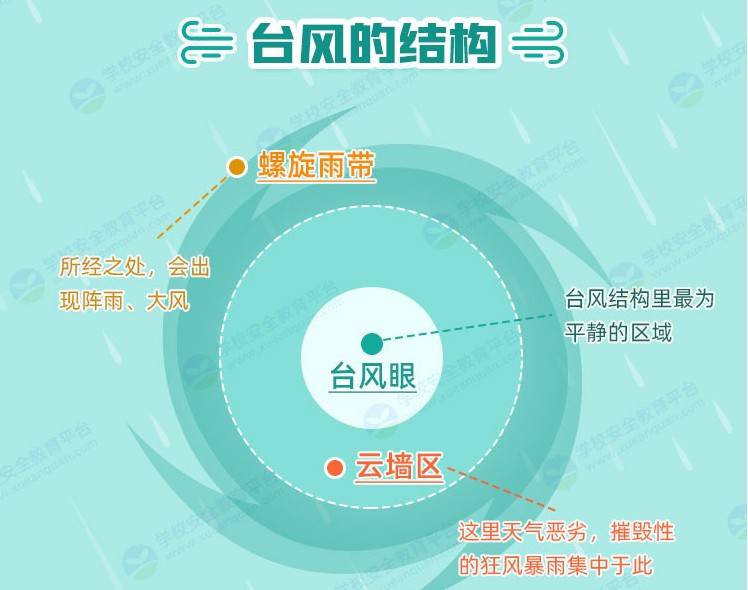 臺(tái)風(fēng)那些事兒教育專題APP平臺(tái)截圖2