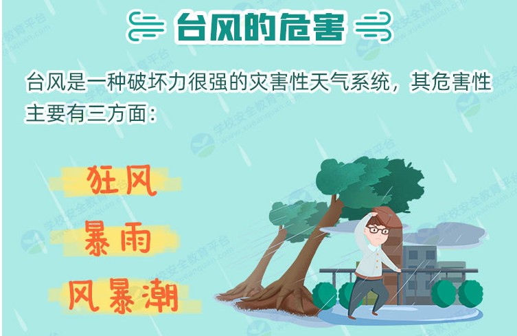 臺(tái)風(fēng)那些事兒教育專題APP平臺(tái)截圖3