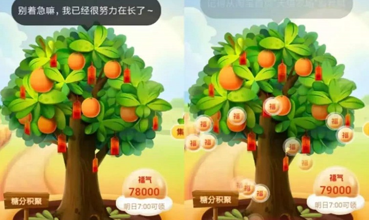 東東果園怎么兌換水果？多少水滴可以?xún)稉Q水果？