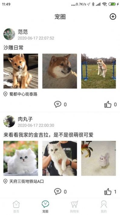 叮當(dāng)寵屋APP客戶端截圖3