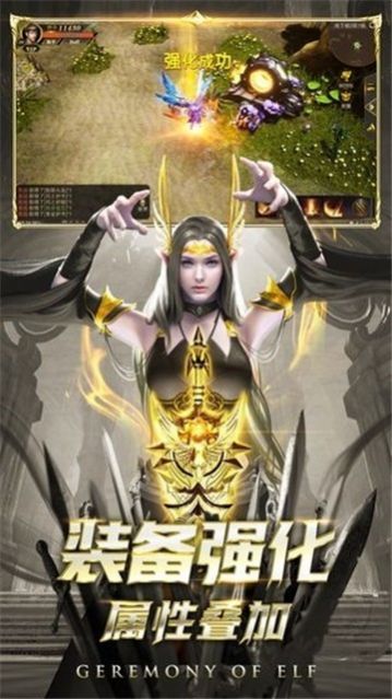 黑龍波覺醒傳奇版手游截圖1