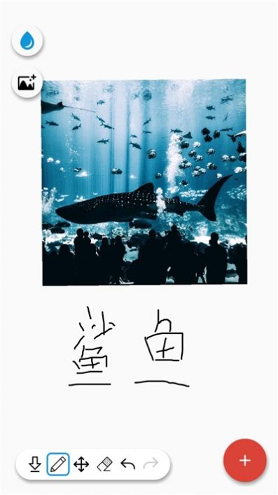 畫畫天才APP最新手機(jī)版截圖3