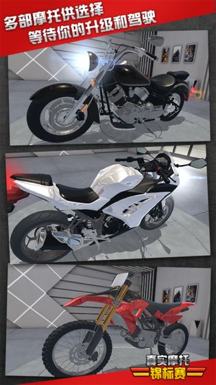 RiMS Racing游戲手機(jī)中文版截圖3