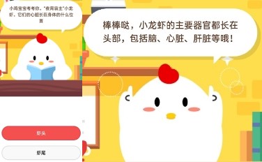 螞蟻莊園小龍蝦的心臟長在什么位置？7月9日第二題“夜宵霸主”的心臟答案
