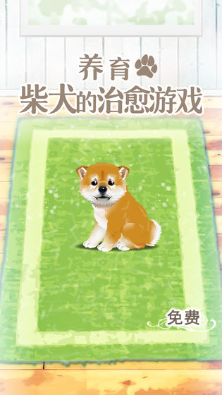 養(yǎng)育柴犬的治愈游戲安卓版截圖1
