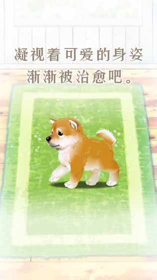 養(yǎng)育柴犬的治愈游戲安卓版截圖2
