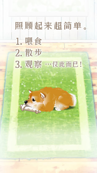 養(yǎng)育柴犬的治愈游戲安卓版截圖4
