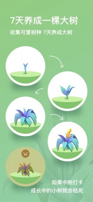 打卡森林APP最新版下載安裝截圖3