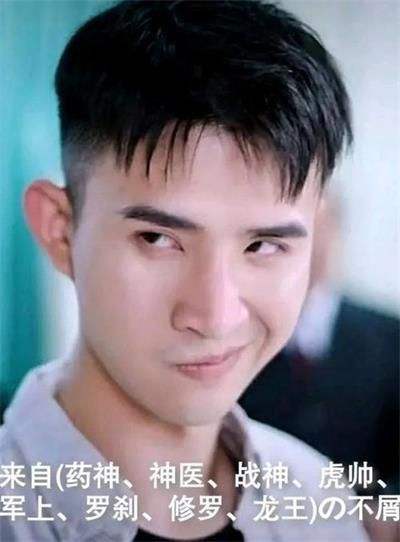 歪嘴龍王最強(qiáng)贅婿表情包完整版截圖2