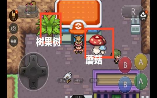 精靈寶可夢去吧洛奇亞攻略圖鑒全收集中文版截圖3