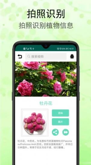 識(shí)花草APP小程序下載截圖2