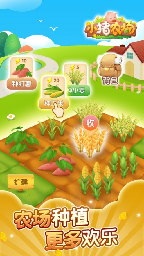 小豬農(nóng)場(chǎng)游戲紅包版下載截圖2