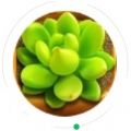 微信探探農(nóng)場小程序游戲